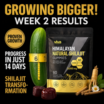 VivaNerra® Himalayan Gold Shilajit Gummies